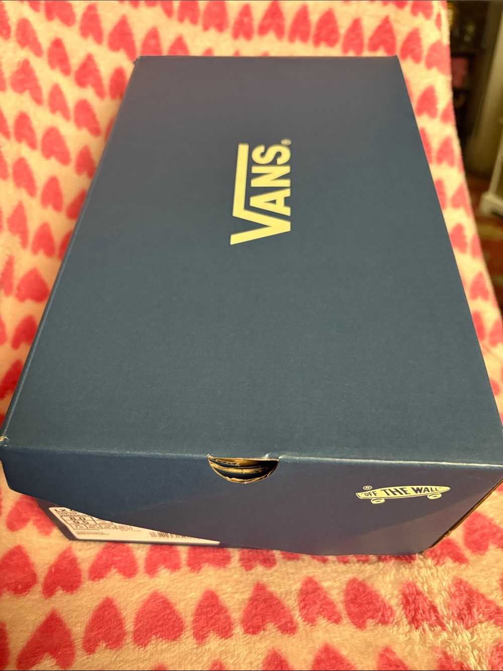 Vans Navy Blue Box with White Logo